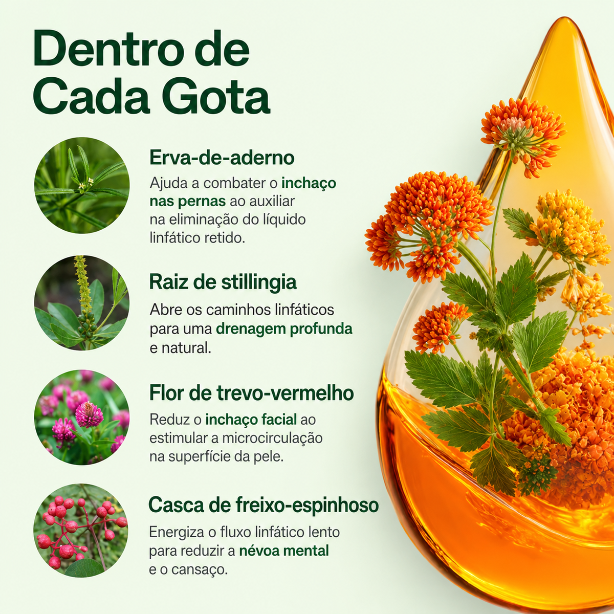 Reviva® Gotas para Drenagem Linfática
